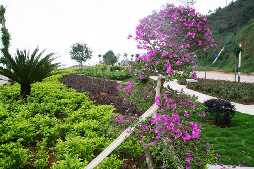 AG真人娱乐- AG真人平台(集团)官方网站